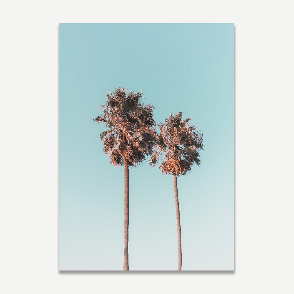 Palm Tree Paradise: A framed canvas print featuring twin palm trees against a picturesque California sky, suitable for home and office wall art.