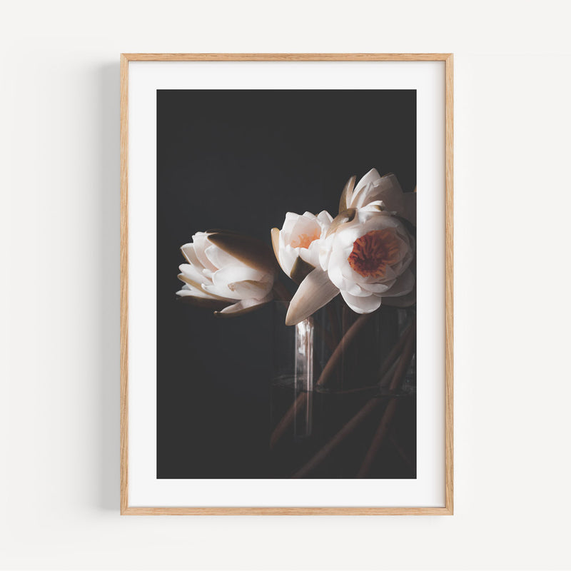 Water Lily II