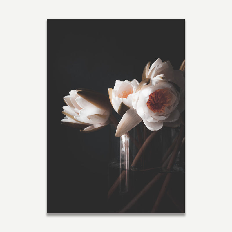 Set of 2 - Solo Water Lilly& Water Lilly II